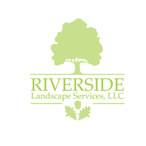 Logo Design by Jessiivee