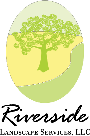 Logo Design by NKDM