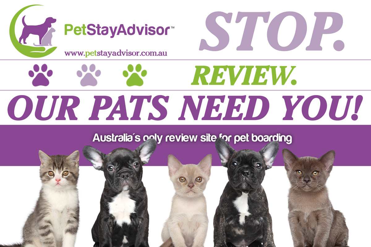 Flyer-Design von dachhha für PetStayAdvisor Pty Ltd | Design #4802959