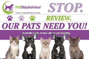 Flyer-Design von dachhha für PetStayAdvisor Pty Ltd | Design #4802959