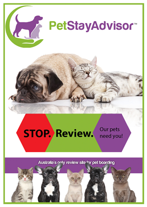 Flyer-Design von Distant Design für PetStayAdvisor Pty Ltd | Design #4821579