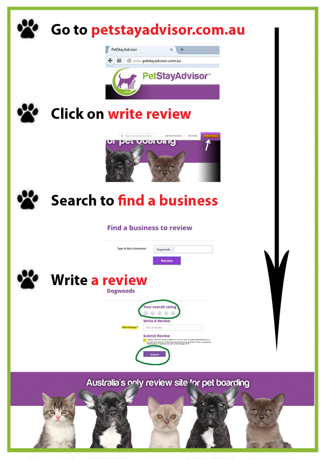 Design de Flyer par Distant Design pour PetStayAdvisor Pty Ltd | Design #4821580