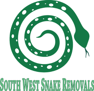Logo Design by Acetrik