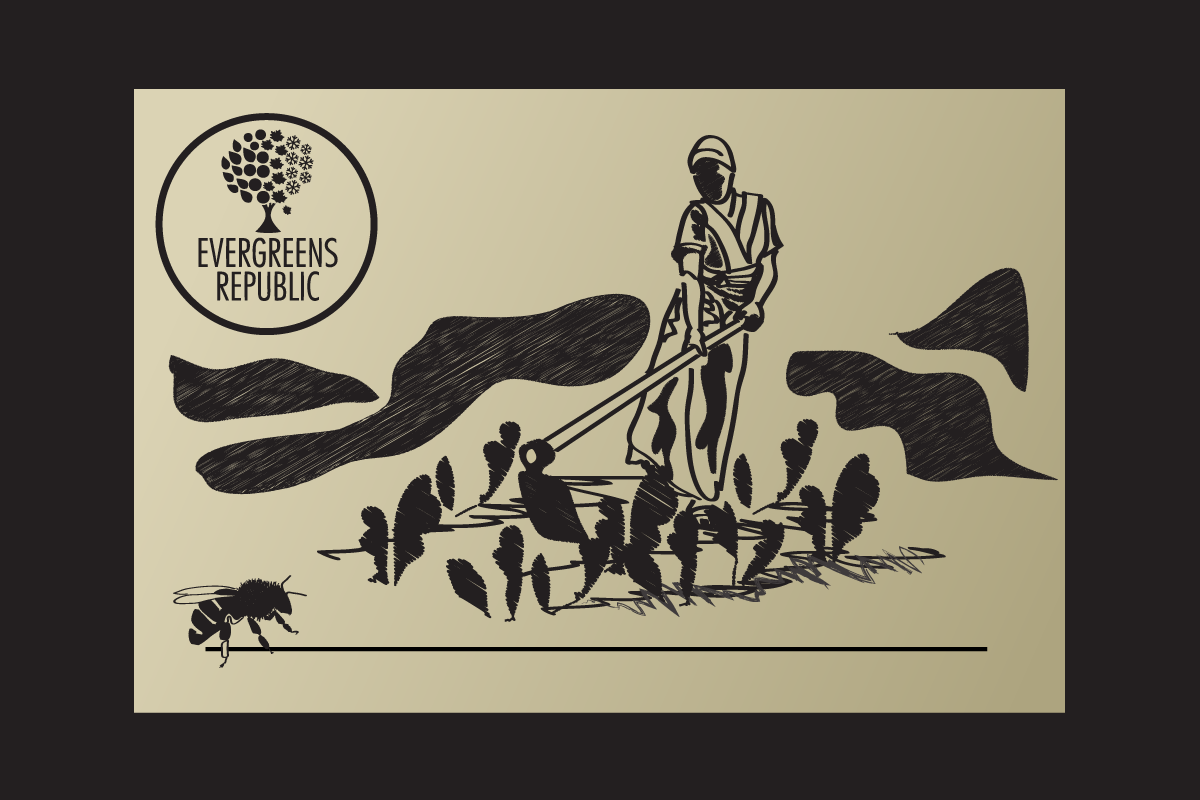 Packaging Design by briliana for Ray  | Design #4855809