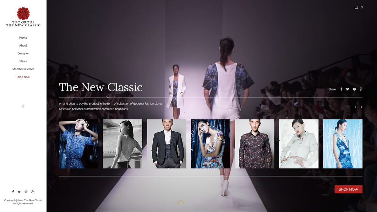 Web Design by webheroes for Logo-Rilla | Design #4804883
