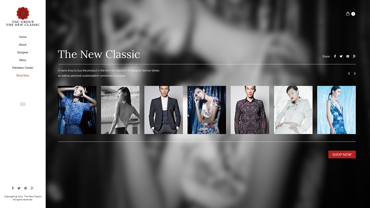 Web Design by webheroes for Logo-Rilla | Design #4804888