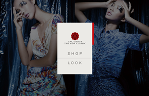 Web Design by artdesignmx for Logo-Rilla | Design: #4830712