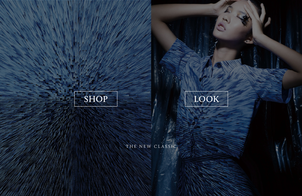Web Design by artdesignmx for Logo-Rilla | Design #4845693