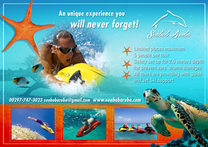 Flyer Design by karixen for this project | Design: #4830507