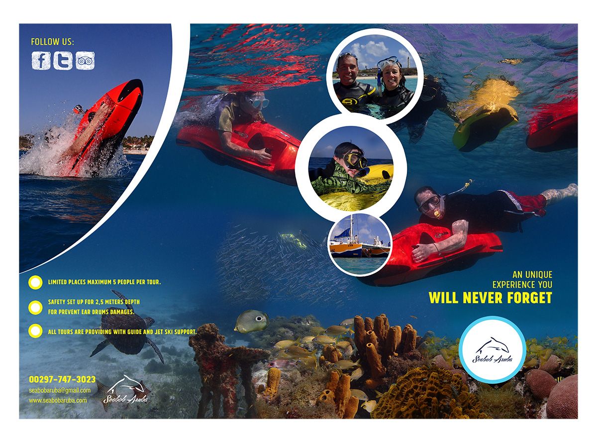 Flyer Design by Ivansan for this project | Design #4818432