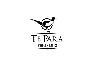 Logo Design by B.Tibéri