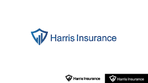 Logo Design by dibi solutions