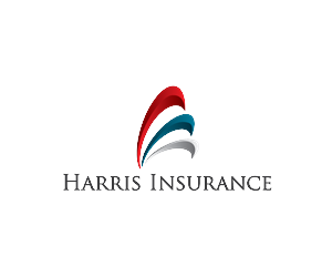 Diseño de Logo por meygekon para Iron Mountain Insurance & Iron Mountain Investments | Diseño: #4868779