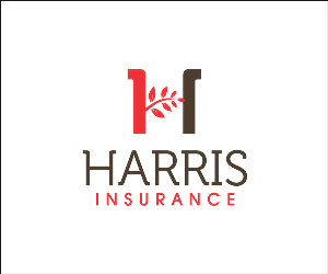 Design de Logo par subhadip pour Iron Mountain Insurance & Iron Mountain Investments | Design #4809746