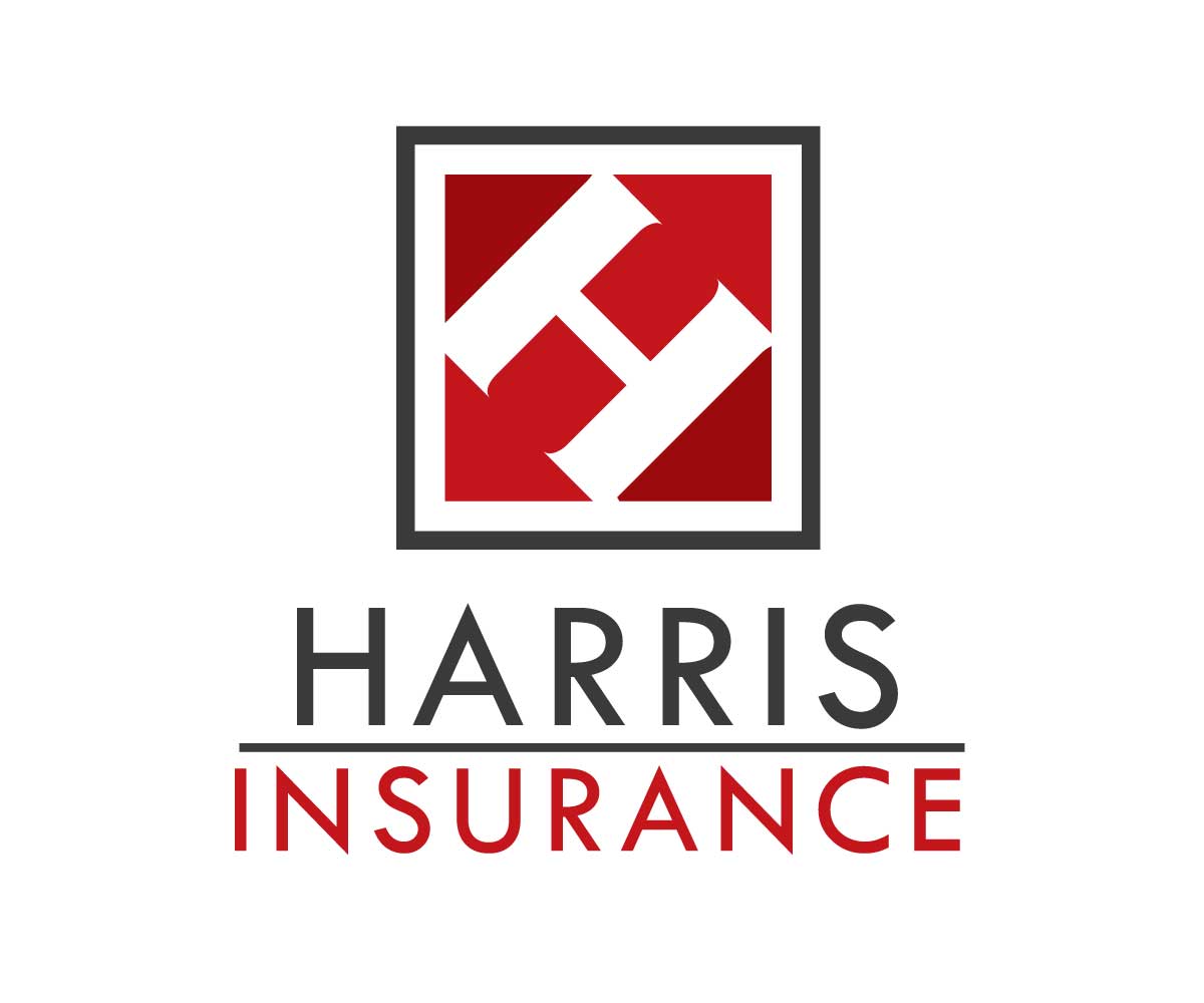 Logo Design by Nimo_Designs for Iron Mountain Insurance & Iron Mountain Investments | Design #4811844