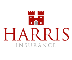 Design de Logo par  guytoon pour Iron Mountain Insurance & Iron Mountain Investments | Design : #4828700