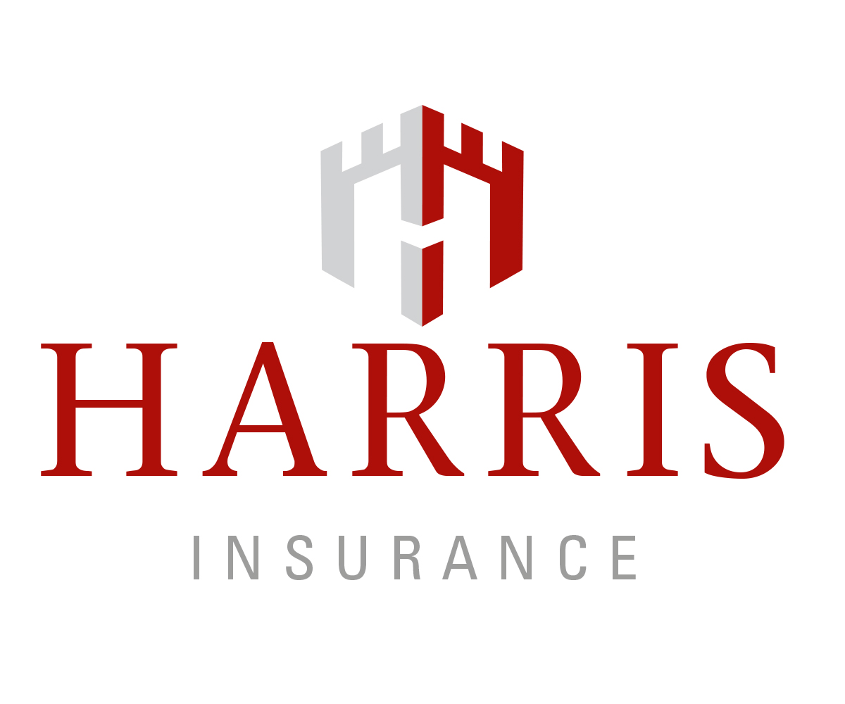 Logo Design by  guytoon for Iron Mountain Insurance & Iron Mountain Investments | Design #4828704