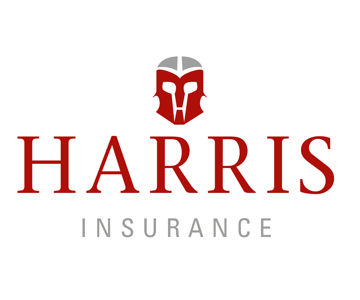 Logo Design by  guytoon for Iron Mountain Insurance & Iron Mountain Investments | Design #4828707