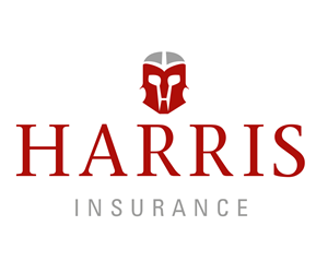 Design de Logo par  guytoon pour Iron Mountain Insurance & Iron Mountain Investments | Design : #4828707