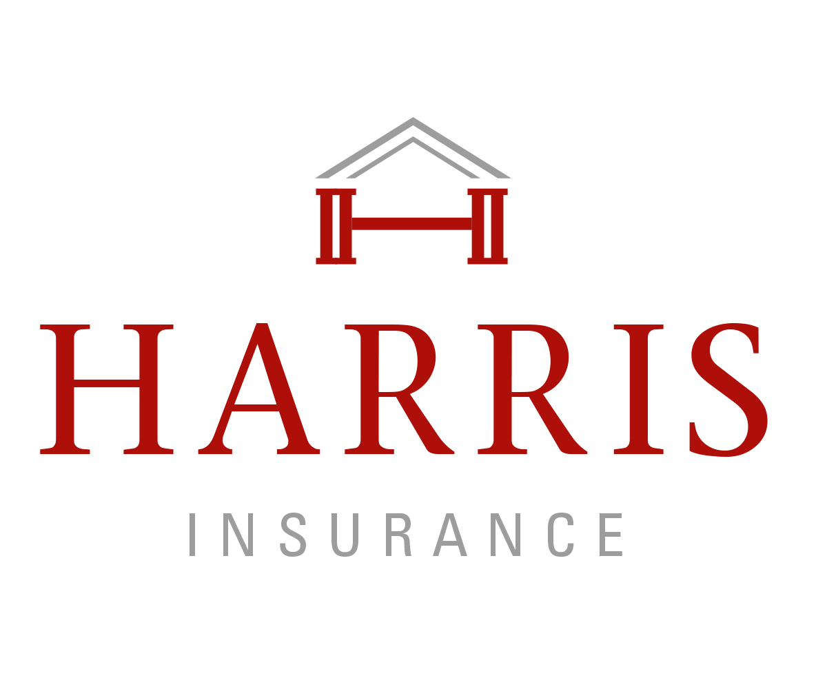 Logo Design by  guytoon for Iron Mountain Insurance & Iron Mountain Investments | Design #4828710