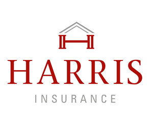 Design de Logo par  guytoon pour Iron Mountain Insurance & Iron Mountain Investments | Design : #4828710