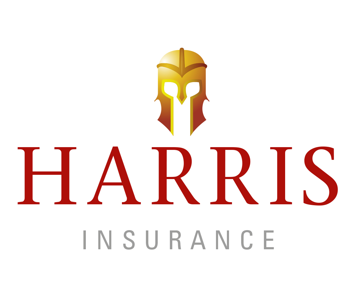 Logo Design by  guytoon for Iron Mountain Insurance & Iron Mountain Investments | Design #4828711