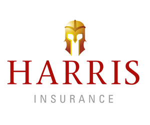 Design de Logo par  guytoon pour Iron Mountain Insurance & Iron Mountain Investments | Design : #4828711