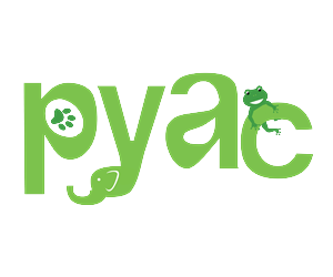 Logo Design by Dazed