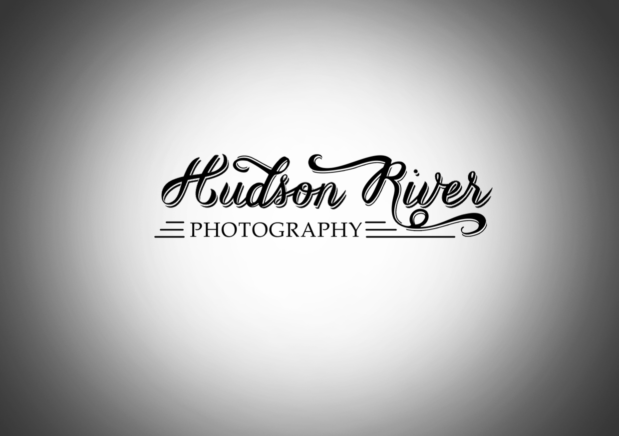Diseño de Logo por AnaMilica para Hudson River Creative LLC | Diseño #4943406