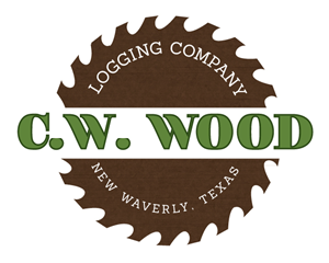 Logo Design by Hues Designs
