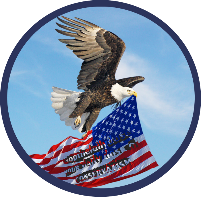 Design de Logo par microswiftsoft pour ce projet | Design #4816833