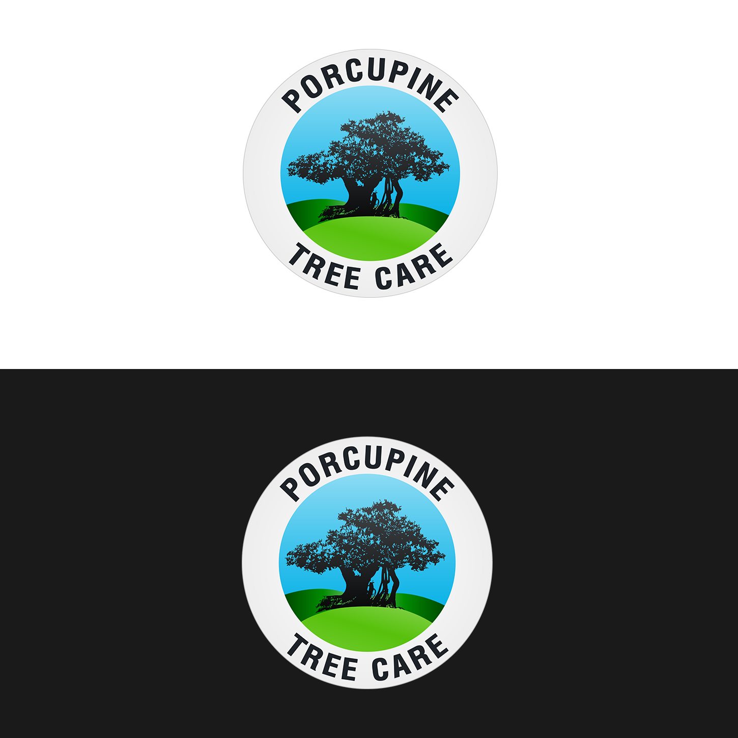 Logo Design by Pixi Dust for this project | Design #4817915