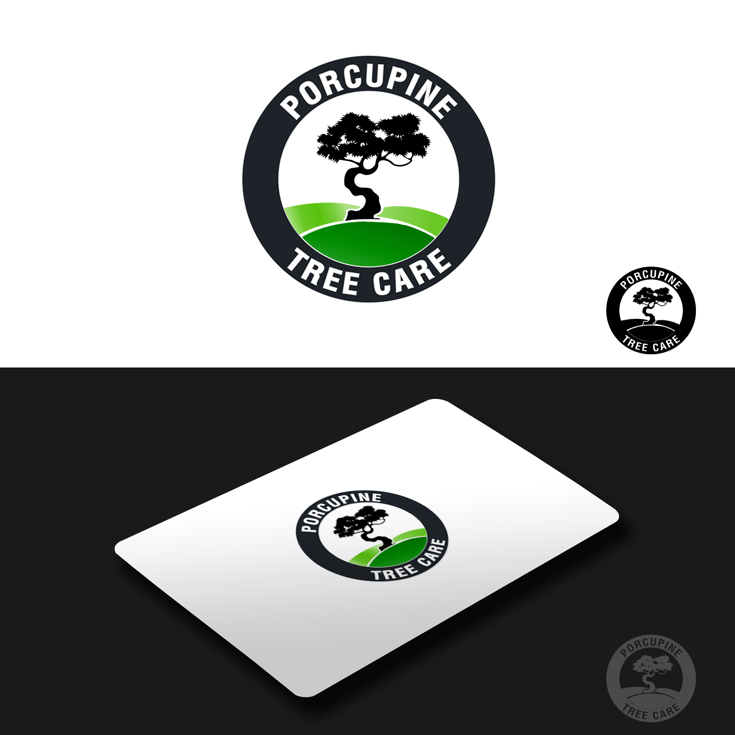 Logo Design by Pixi Dust for this project | Design #4821130