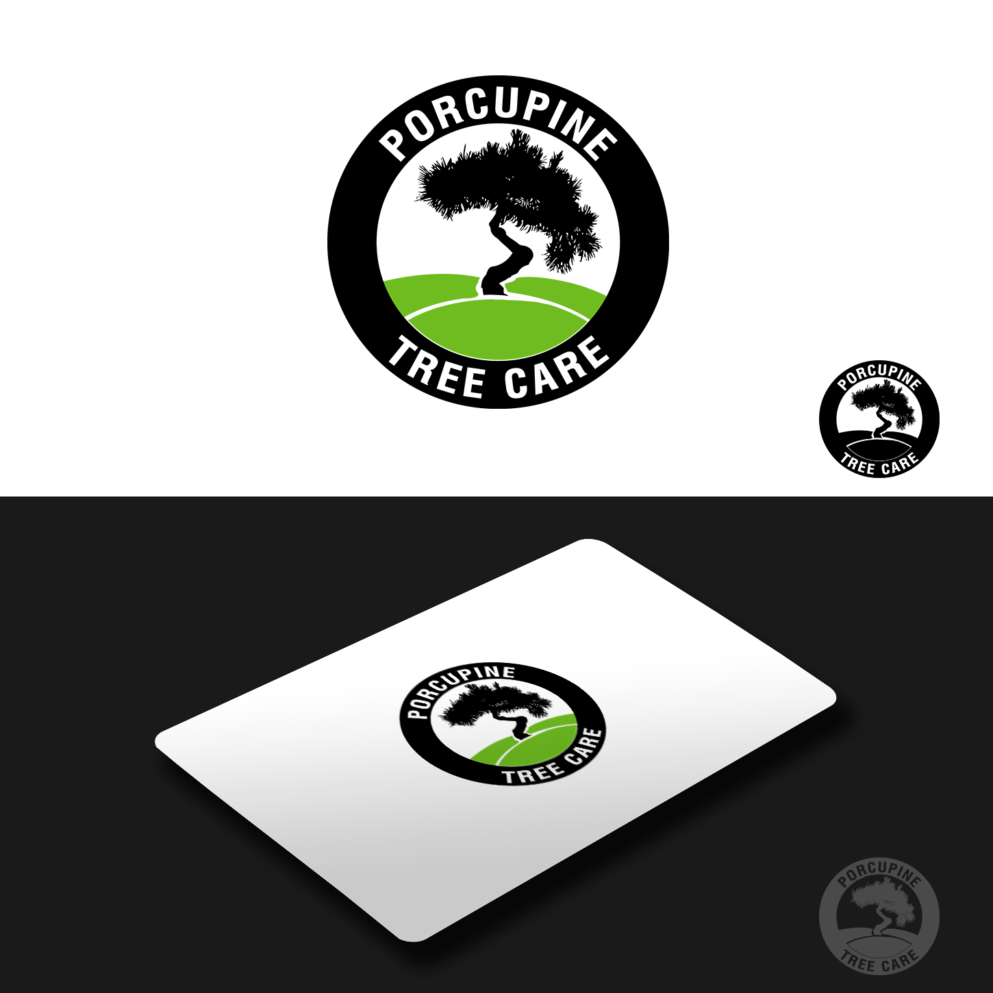 Logo Design by Pixi Dust for this project | Design #4821246