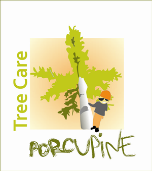 Logo Design by KENKEN8