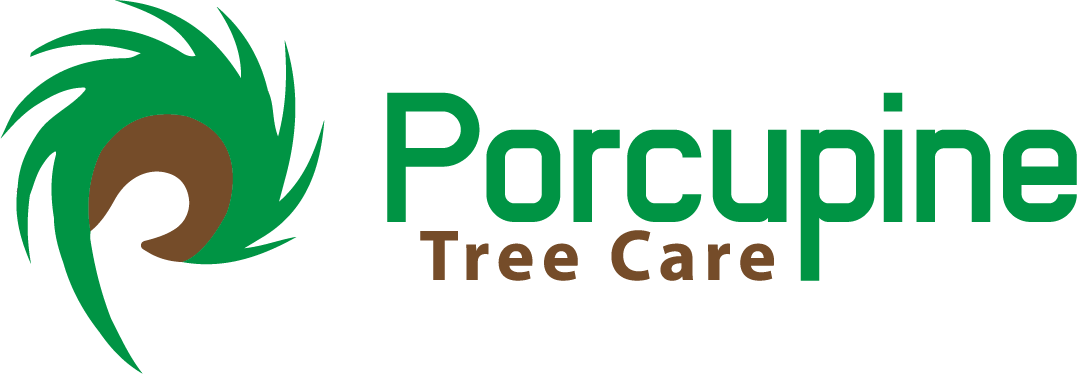 Logo Design by binnyagrawal for this project | Design #4817717