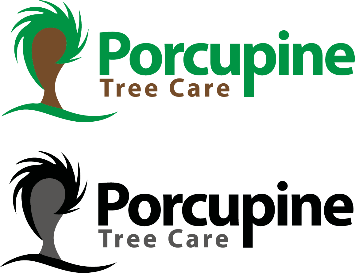 Logo Design by binnyagrawal for this project | Design #4820153