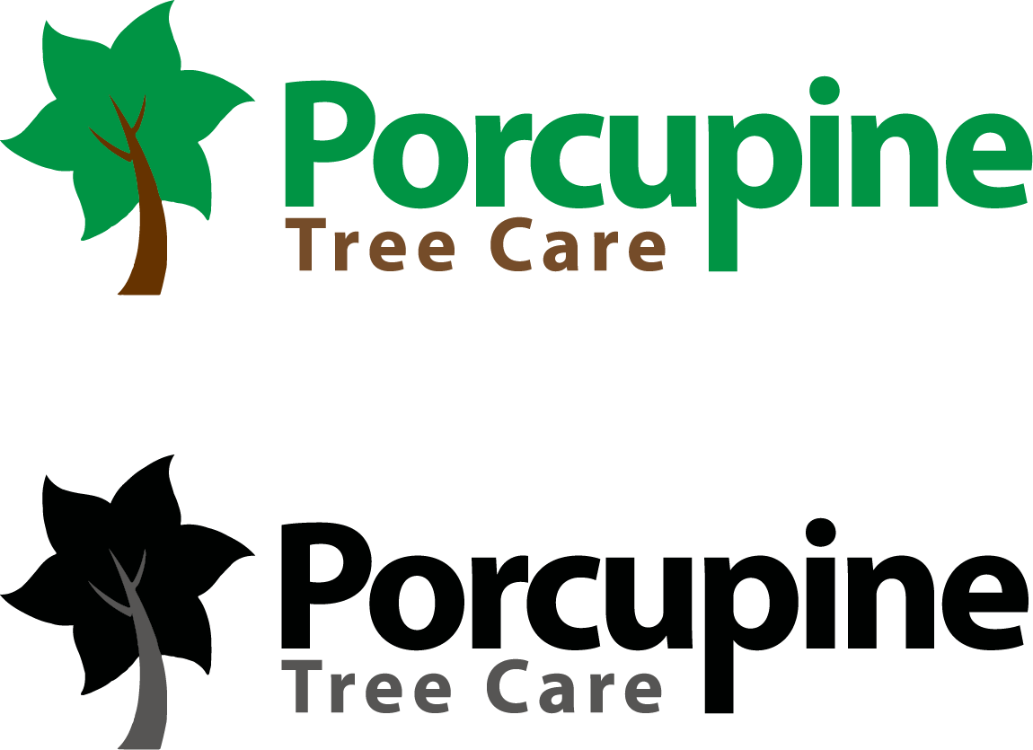 Logo Design by binnyagrawal for this project | Design #4820542