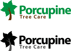 Logo Design by binnyagrawal for this project | Design: #4820542