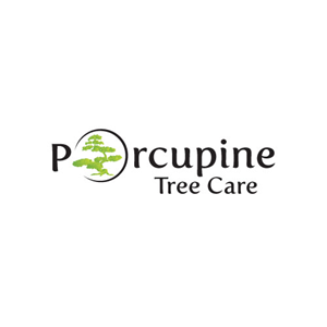 Logo Design by Himanshi10 for this project | Design #4820649