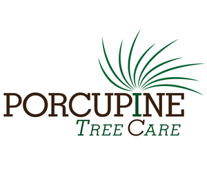 Logo Design by Simple Elegance Designs
