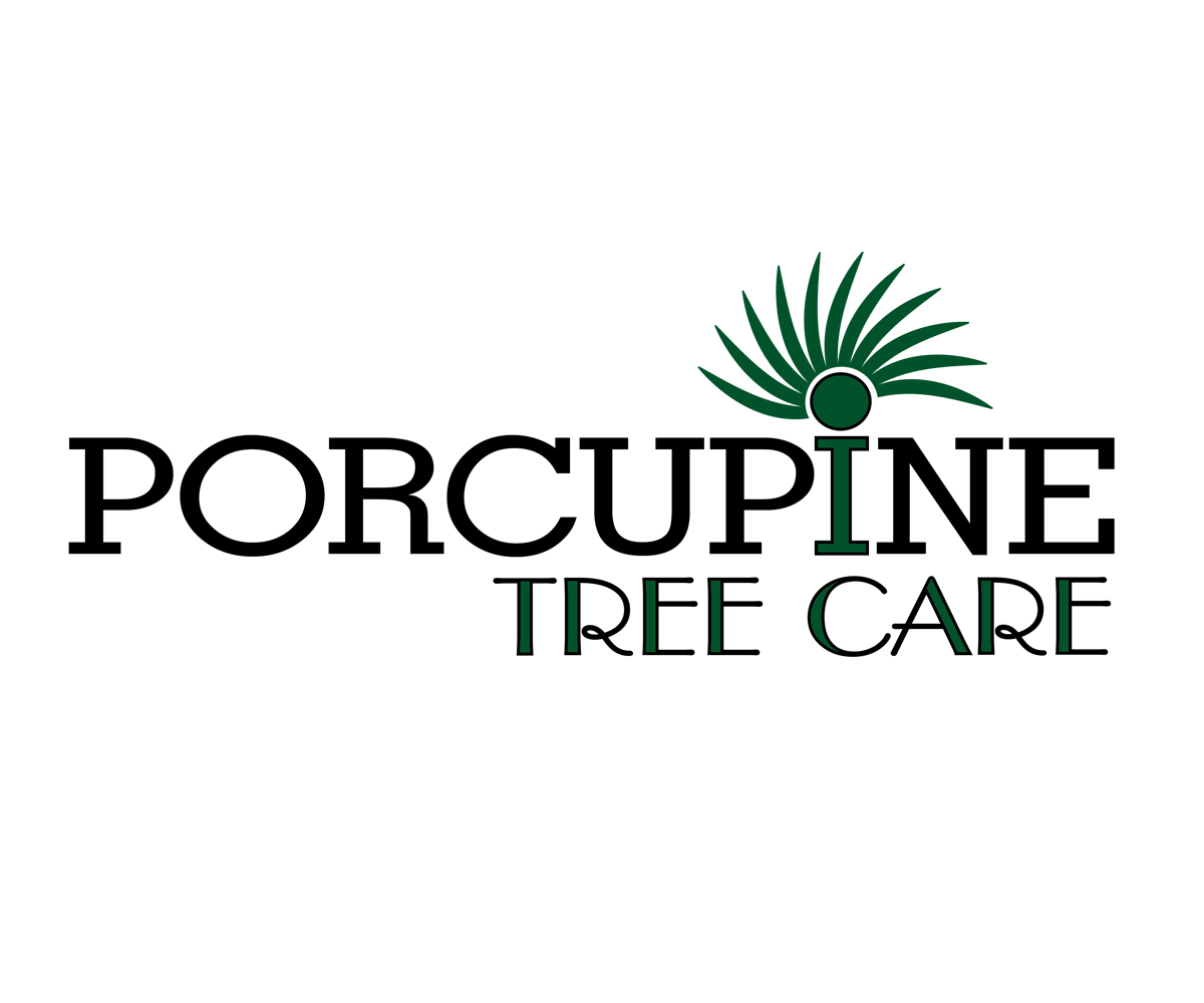 Logo Design by Simple Elegance Designs for this project | Design #4844853