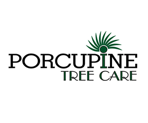 Logo Design by Simple Elegance Designs for this project | Design: #4844853