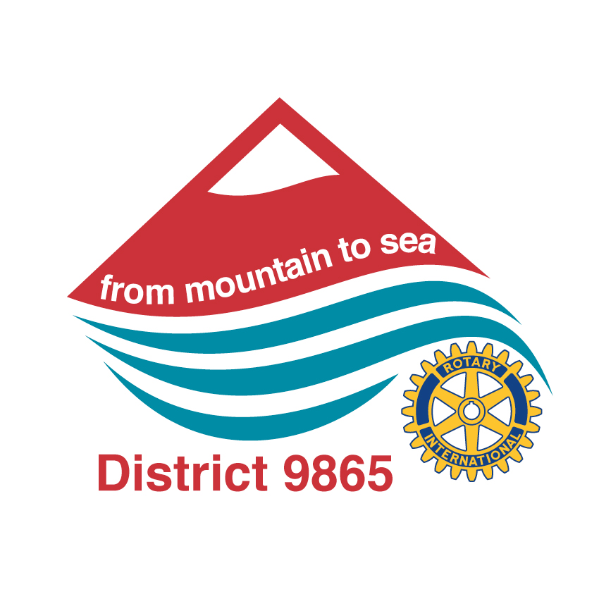 Logo Design by Kalinoe for Digital Solutions Group | Design #1459300