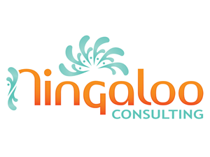 Logo Design by Bajiti