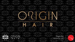 Logo Design by designeri.am