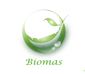 Logo Design by Zukastudio