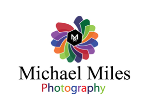 Logo Design by SHRAVAN D.S