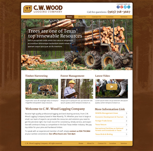 Web Design by Nelsur