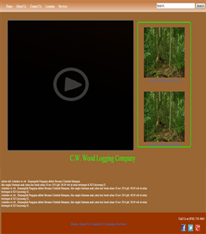 Web Design by hakrabus